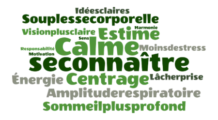 nuage de mots représentant les bienfaits apportés par les séances: connaissance de soi, estime, calme, centrage