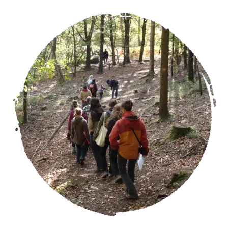 groupe de personnes étudiant la nature qui marchent dans une forêt